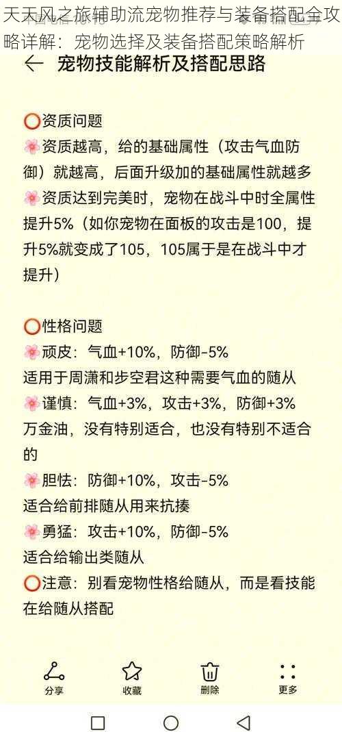 天天风之旅辅助流宠物推荐与装备搭配全攻略详解：宠物选择及装备搭配策略解析