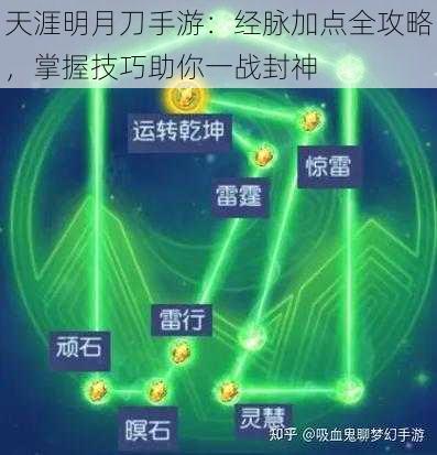 天涯明月刀手游：经脉加点全攻略，掌握技巧助你一战封神