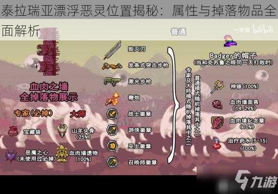 泰拉瑞亚漂浮恶灵位置揭秘：属性与掉落物品全面解析