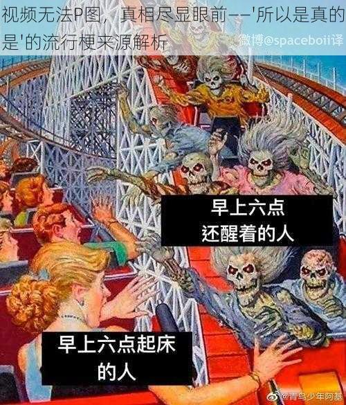 视频无法P图，真相尽显眼前——'所以是真的是'的流行梗来源解析